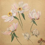 Emily Cole: Ceramics, Flora, & Contemporary Responses at Thomas Cole NHS